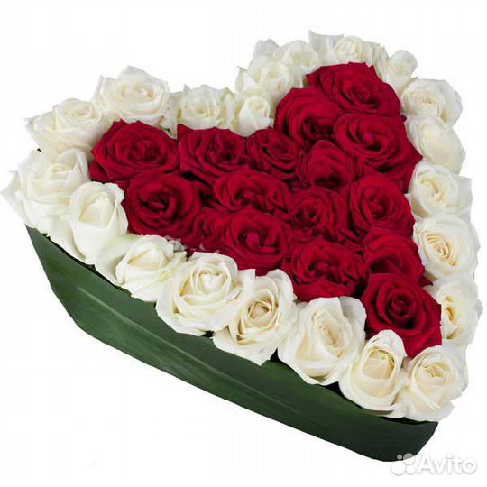 Композиция Светлана