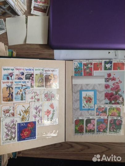 Марки, посвященные цветам