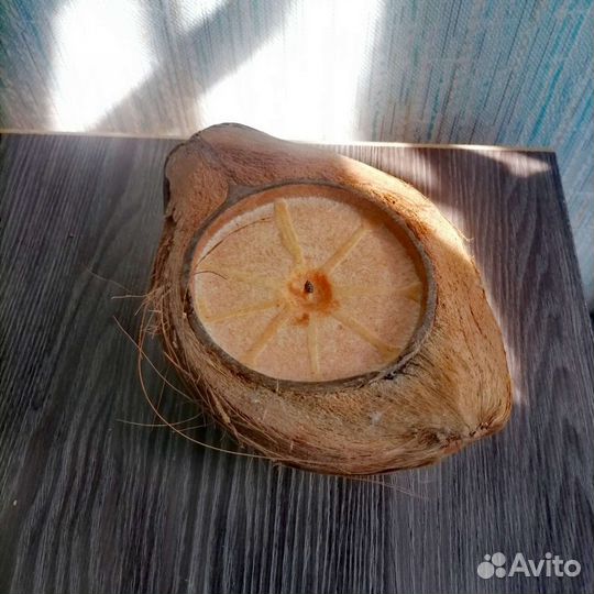 Свеча в настоящем кокосе