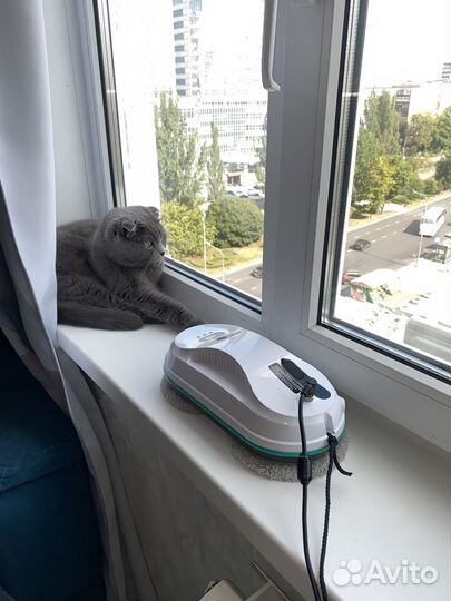 Аренда/прокат робота мойщика окон