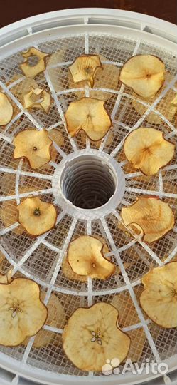 Чипсы из яблок