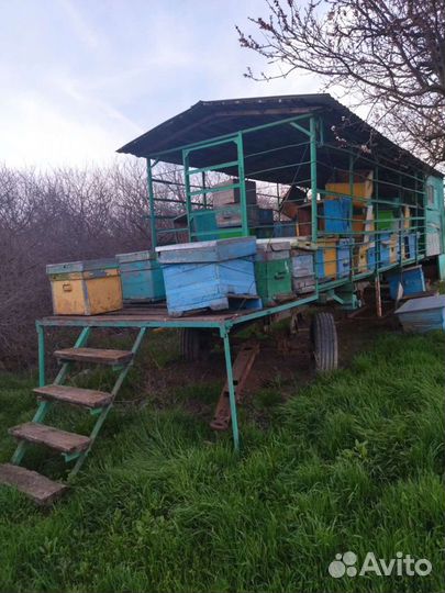 Пчелоприцеп