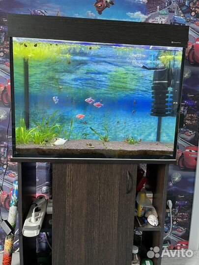 Аквариум с тумбой бу