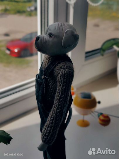 Американский бульдог