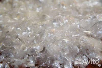 Фибра полипропиленовая 12 мм