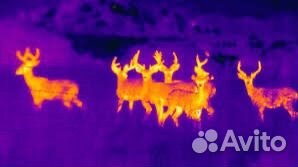 Dji mavic 3t thermal с тепловизором