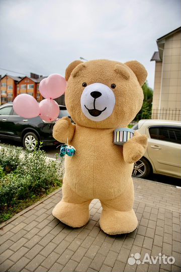 Шоу танцующих медведей