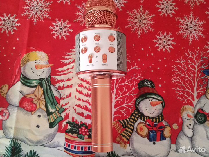 Колонка с микрофоном