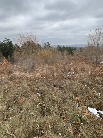 Участок 11 сот. (ИЖС)