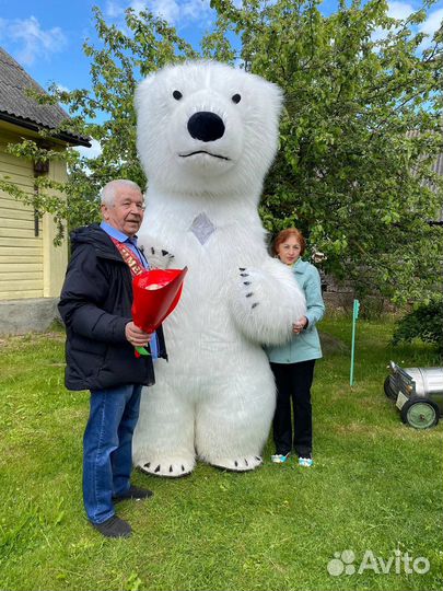 Гиганский медведь