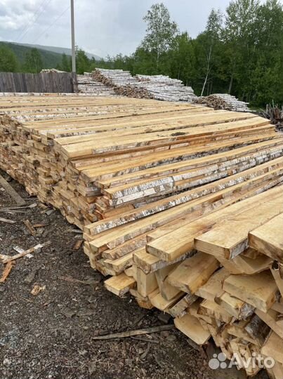 Лес кругляк береза, береза, осина