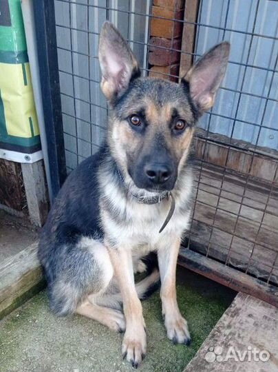 Ищем надёжные ручки