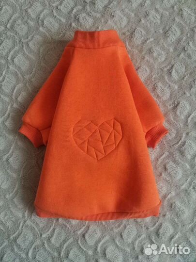 Пошив одежды для собак