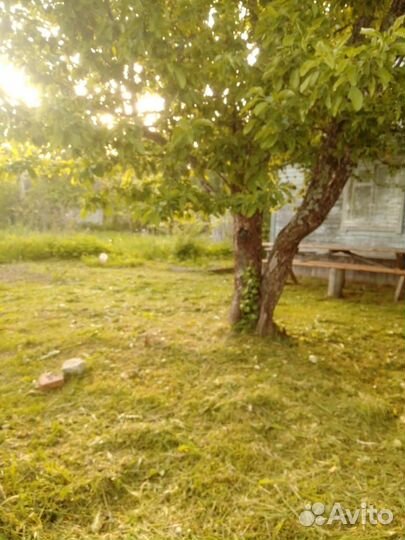 Благоустройство участков, пахота, покос