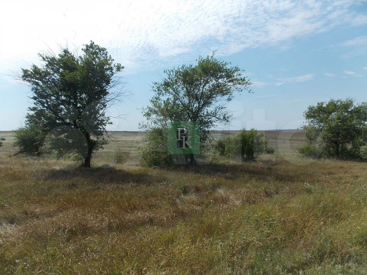 Участок 6 сот. (СНТ, ДНП)