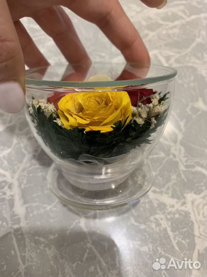 Цветы в стекле