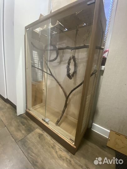 Клетка витрина