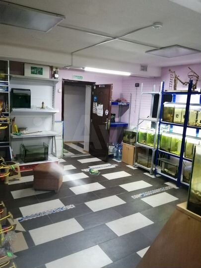 Свободного назначения, 37 м²