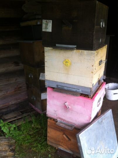 Ульи для пчел бу. Дадан 12 рам