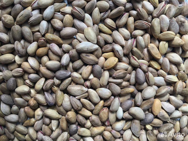 Фисташка съедобная, морозостойкая, семена