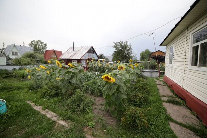 Дача 50 м² на участке 4 сот.