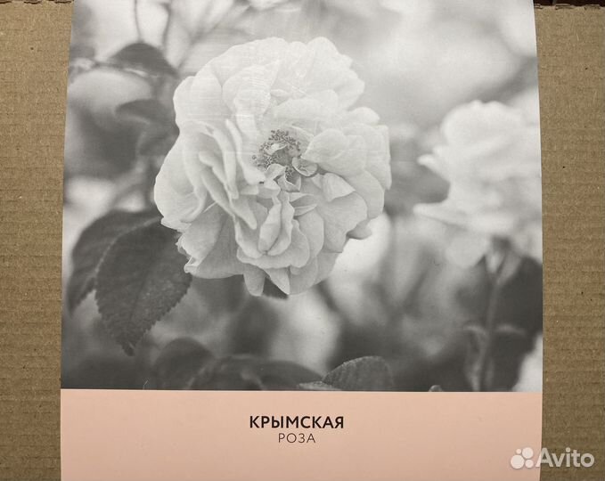 Подарочный набор «Крымская роза со свечой»