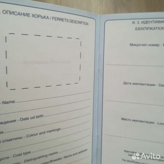 Международный ветеринарный паспорт хорька/фретки