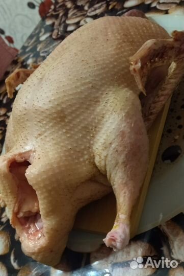 Продам Мясо утки бройлерной