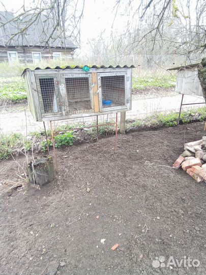 Клетка для кролика