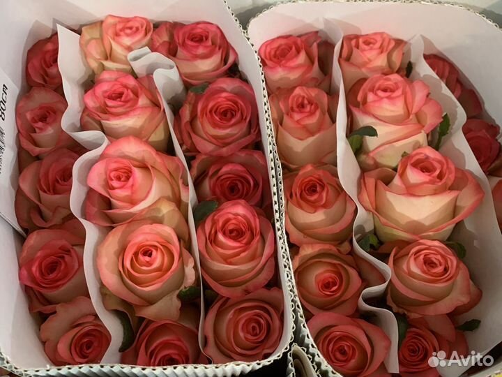 Цветы оптом