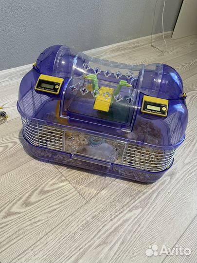 Отдам хомяка с клеткой в добрые руки