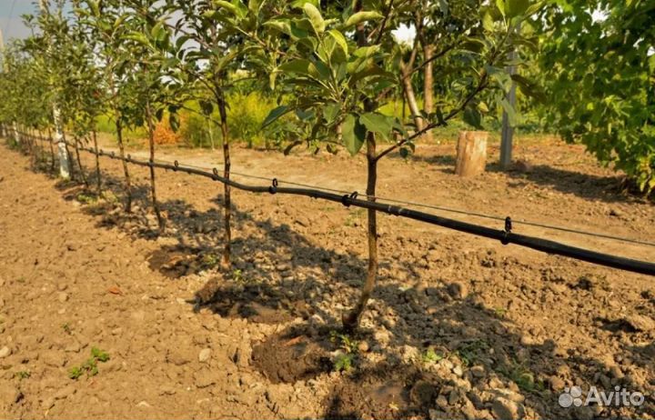 Капельная трубка zelna (многолетняя) урожайная