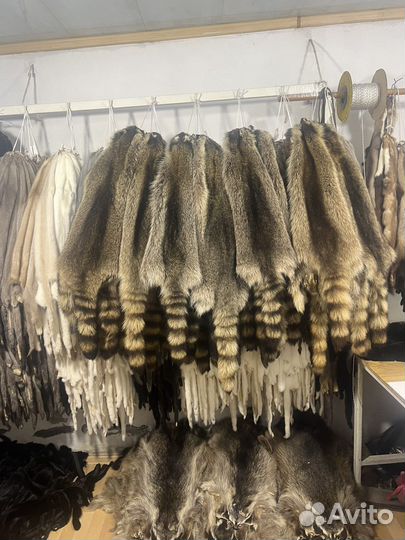 Шкуры енота
