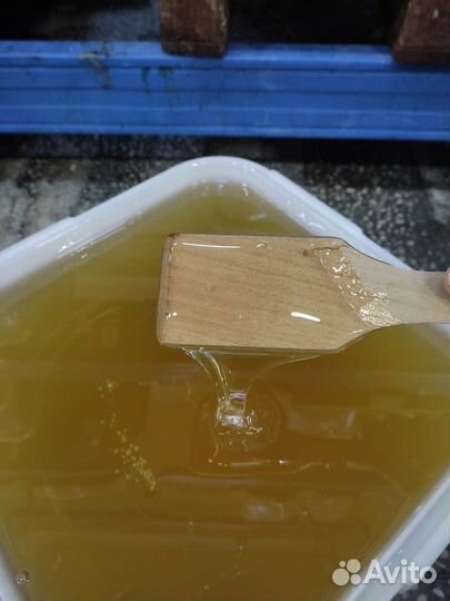 Липовый мёд Свежий Качка 2023 год