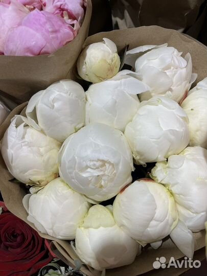 Пионы букет из пионов цветы доставка