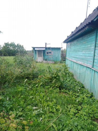 Участок 25 сот. (ИЖС)