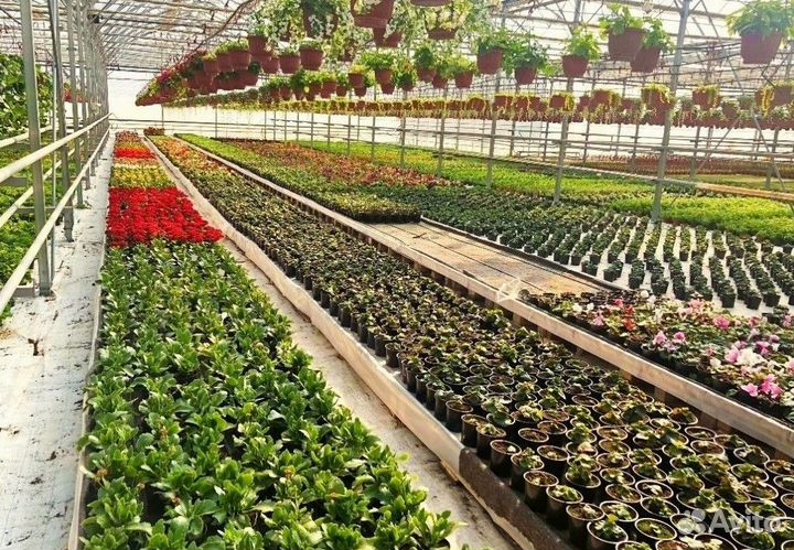 Теплица из поликарбоната