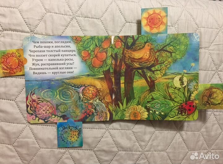 Геометрия в природе