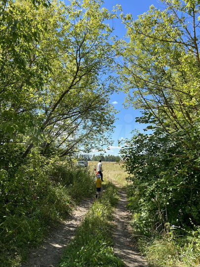 Участок 15 сот. (ИЖС)