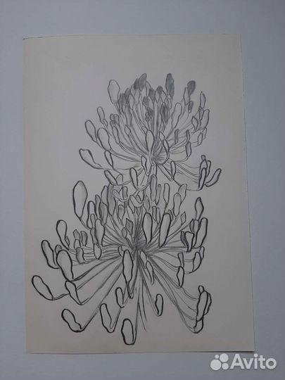 Картина графика