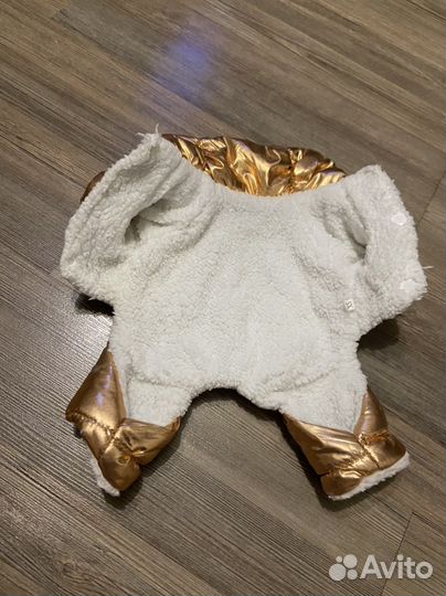 Одежда для собак