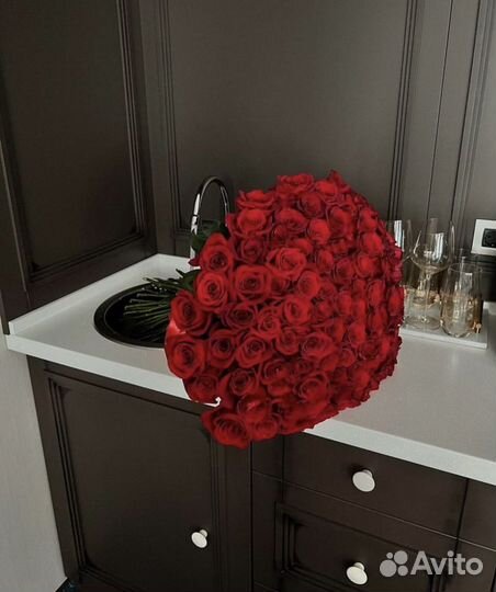 Роза Красная Свежая