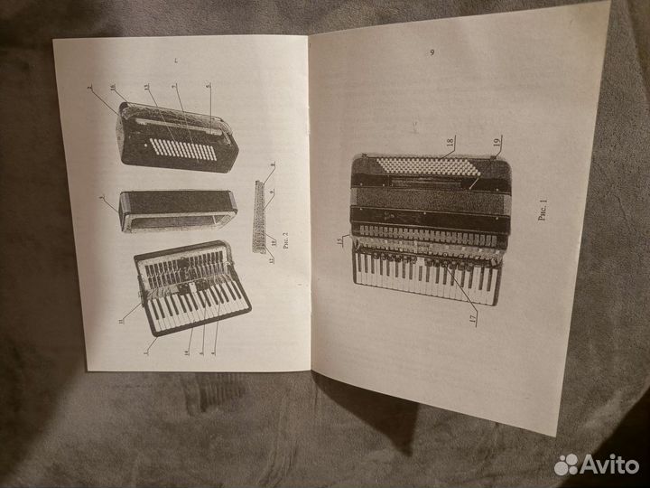 Аккордеон Тула