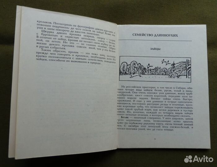 Кролики в вашем хозяйстве