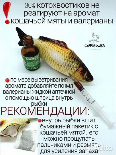 Рыбка с мятой