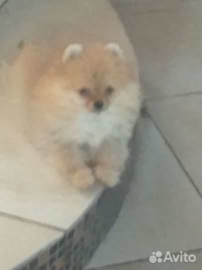 Мальчик с пальчик