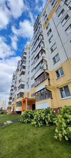 2-к. квартира, 52,8 м², 10/11 эт.
