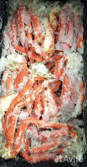 Краб камчатский клешни L4-L5