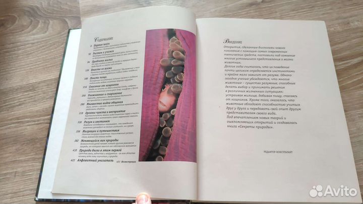 Книга секреты природы ридерз дайджест