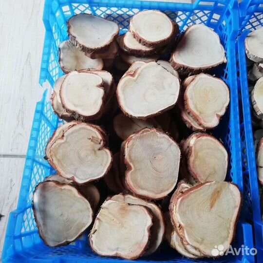 Спилы можжевельника